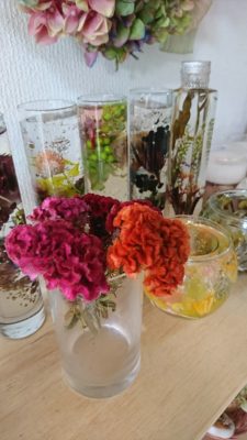 ケイトウのドライフラワー