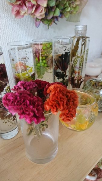 ケイトウのドライフラワー