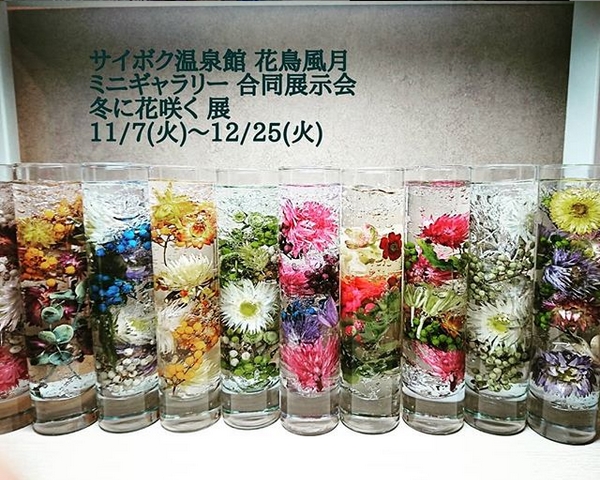 サイボクハム3人展<冬に花咲く>