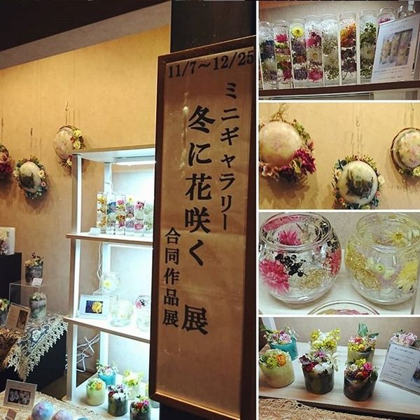 サイボクハム3人展<冬に花咲く>