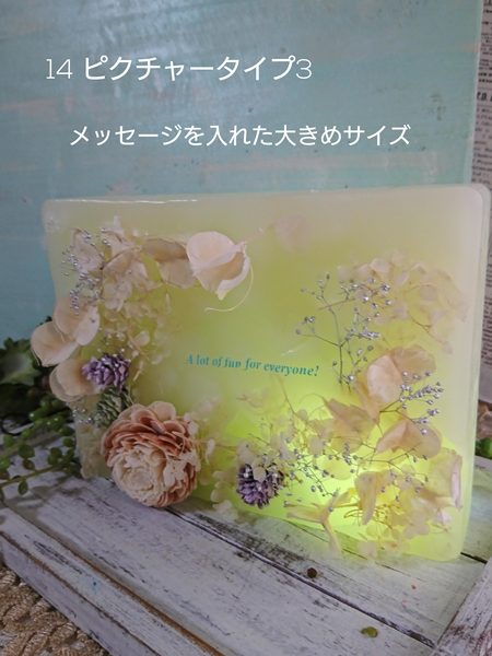 ピクチャータイプ３