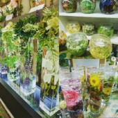 日本橋髙島屋s.c.催事