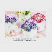 日本橋髙島屋s.c.催事